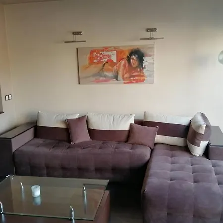 Тристаен Апартамент В Центъра На София Apartment